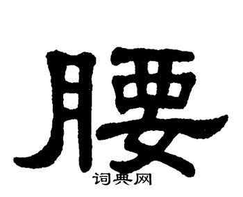 腰的造詞|腰字造詞,腰字詞語大全 